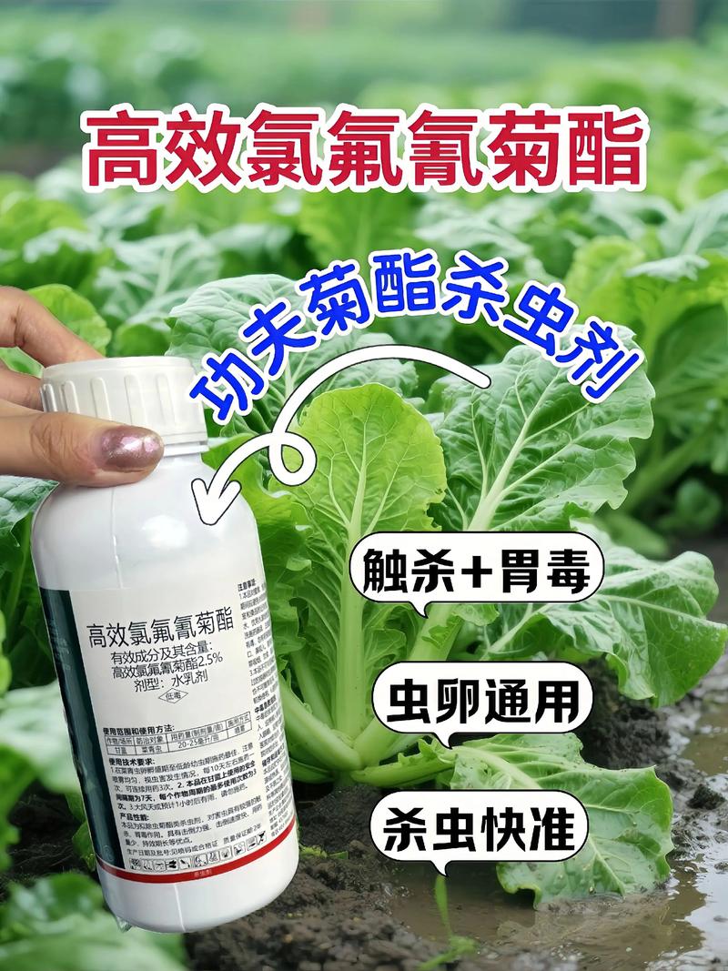 北辰代生中心:农药对供卵代生妈妈的危害